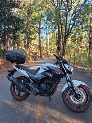 YAMAHA YS 250 FAZER BLUEFLEX 
